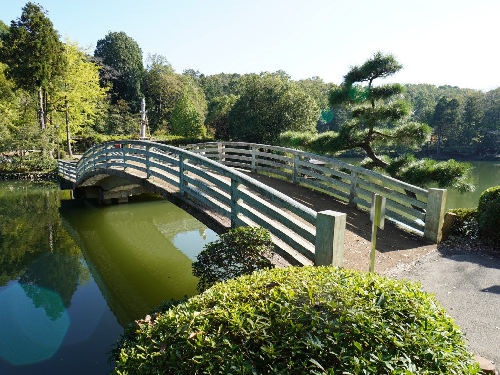 🏞️ 야쿠시이케 공원 (야쿠시이케 코엔) 이미지 5